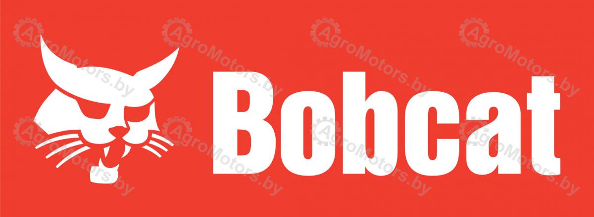 BOBCAT