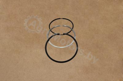 Ring Set, Single Cylinder FP-1836193 Вид 1