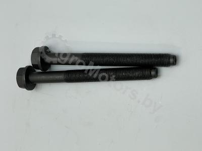 Болт коренной 04254240 Вид 3