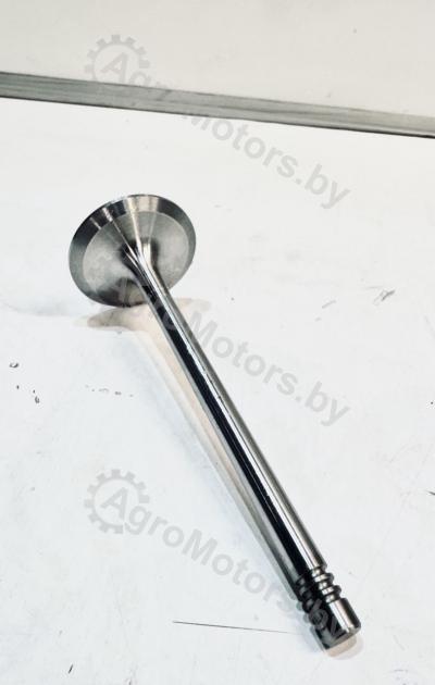 ВПУСКНОЙ КЛАПАН 04225353 Вид 1