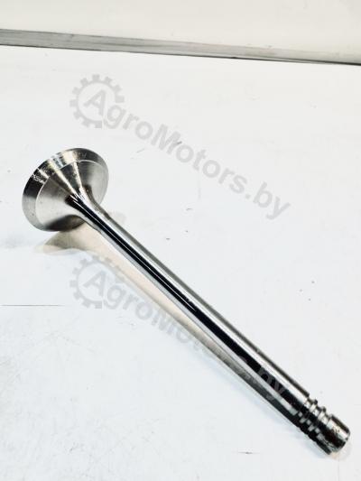 Впускной клапан 04220143 Вид 1