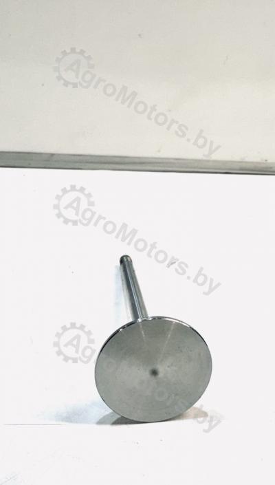 ВЫПУСКНОЙ КЛАПАН 04226412 Вид 1